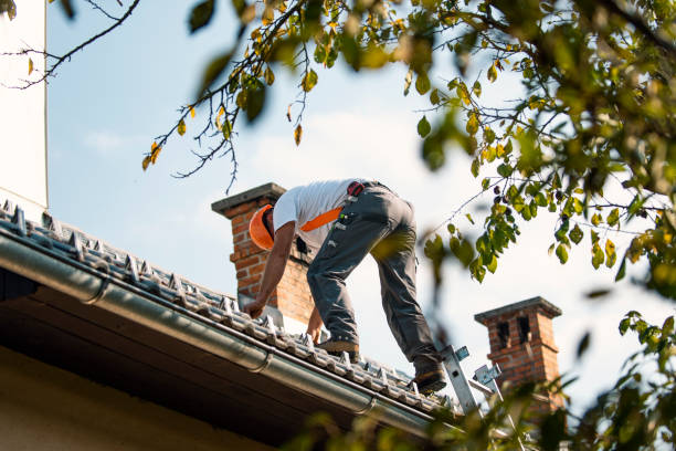Best Slate Roofing Contractor  in Warsaw, VA
