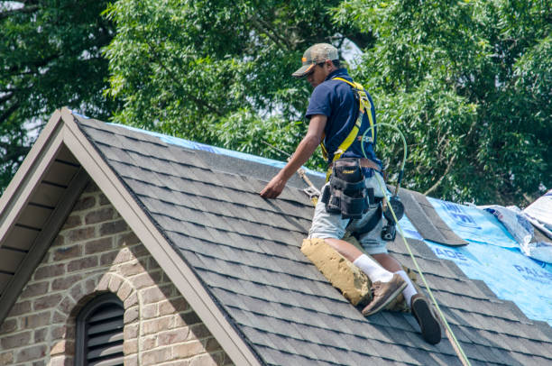 Best Roof Maintenance Services  in Warsaw, VA